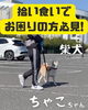 「＼問題行動改善トレーニング（拾い食い）🥩／」