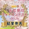 【お花見フォトコンテスト2026】グランプリ発表！地域の“春の一枚”が勢ぞろいしました