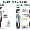 良い姿勢ってどんな姿勢？　チンタック編