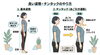 背骨を動かせるようになってから、この姿勢を日頃から出来るようにする。これが良い姿勢を習得する近道です「良い姿勢ってどんな姿勢？　チンタック編」