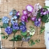 5月も中頃です^ - ^