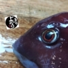 カンダイ入荷致しました！
