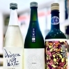 ～夏めく～【福島区・日本酒セラー HARETOKE】