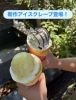 「ひんやり夏スイーツ！ゆず and チョコミントの新作アイスクレープ登場」