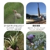 ５月16日（土）はうみやま市