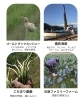 「５月16日（土）はうみやま市」