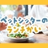 江戸川区で繋がるシッター仲間の輪！北篠崎のペットシッターさんとランチミーティング🐾