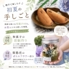 【募集】親子で初夏の手しごとを体験しよう！６月親子レッスンのご案内