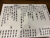 「新鮮アオリイカ🦑」