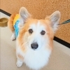 今日のお友達