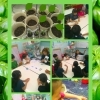 バジルの種植えで英語と理科に楽しくチャレンジ！