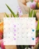 ５月のカレンダーとお花であふれる彩り「5月の営業カレンダー【ブルームーン 和歌山ラウンジ】」