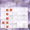 6月定休日のおしらせです