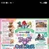 24日、イベント参加決定！北海道産石狩産の素材にこだわった和洋菓子店