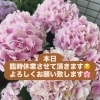 本日臨時休業致します！