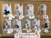 「トリミングをしたワンちゃんたちの紹介」
