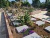色とりどりのお花の咲くガーデニング墓地「花と緑に囲まれた「結の杜」区画の春景色のご紹介」