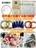 「2026年5月17日は牡牛座に位置する新月です✨お願い事を書いて宇宙のリズムに乗りましょう✨」