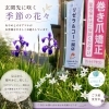 季節の花々がお出迎え.「季節の花々がお出迎え」