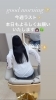 「good morning✨今週ラスト✨本日も宜しくお願い致します🙇🏻‍♀️🍀✨」