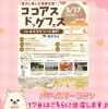 「5/17（日）ココアスドッグフェス出店♪」