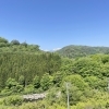 「地元の山菜が入荷します！道の駅木曽福島」