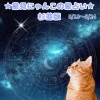 🌟 杉並区版☆12星座占い 🌟 まいぷれ☆星見にゃんこ 🌟 5/18〜5/24