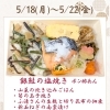 【今週のお弁当のご紹介🍃】
