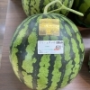 🍉圧倒的な糖度を誇る、金色のスイカ　 話題の「金色羅王」入荷しました✨新鮮果実 日野屋　ビオルネ枚方地下１階🥝✨