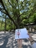 「お客様オススメのことのまま八幡宮に行って来ました⛩️」