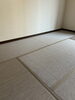 「【ペット対応】ワンチャン、ネコチャンの引っ掻きにも強い^ ^切れにくい、染み込み難い畳表　富津畳屋　ヒラマ畳工業」