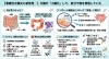 「潰瘍性大腸炎に「自己修復メカニズム」　」