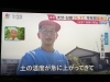 暑い日続きます…。「☆カラフル野菜の小山農園『ひるおび』無事にオンエア📺☆」