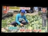 熱中症になるぐらいの気温でした☀️「☆カラフル野菜の小山農園『ミヤネ屋』無事にオンエア📺☆」