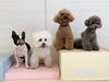 ぽんちゃん♡ぱんちゃん♡にこくん♡ハルくん「ましゅまろ幼稚園🐾」