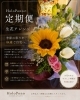 花があり、心和む時間をお届けします「季節の生花アレンジ定期便のご案内」