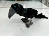 漆黒がかっこいい鳥が完成「ある日のアートフリースクールで「鳥の制作」のプチブームが来ました🦜」
