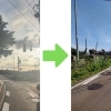立木の伐採工事