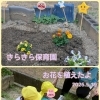 お花の苗を植えたよ　交野市　小規模保育園