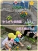 「お花の苗を植えたよ　交野市　小規模保育園」