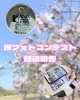 「🌸『桜フォトコンテスト2026』の経過報告🌸」