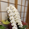 5月21日・23日 営業時間変更のお知らせ（夜は貸切）