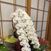 5月21日・23日 営業時間変更のお知らせ（夜は貸切）