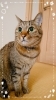 「最近気分が下がり気味↓やる気がでない↓気持ち良く過ごす為にできる事(*^ーﾟ)b」