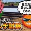 新素材のマルチが完成! 温度抑制効果でサツマイモの品質向上が見込まれます。　たねのハシモトミヤ
