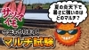 「新素材のマルチが完成! 温度抑制効果でサツマイモの品質向上が見込まれます。　たねのハシモトミヤ」