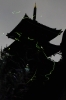 「【船橋】第10回「御瀧の森 蛍の夕べ」開催！金蔵寺の自然が育むホタルの光に包まれて」