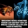 「「ハチの毒で乳がん細胞100％破壊」？」
