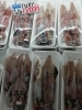 「京都府産白イカ＆真アジ 入荷しました！」
