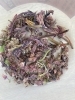 摘み取ったドライフラワーを広げて香りを楽しみます「フレーベル日記🍀多肉植物の生命力にびっくり！」